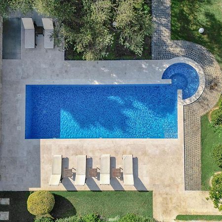 Villa Zen Port Petrovac المظهر الخارجي الصورة