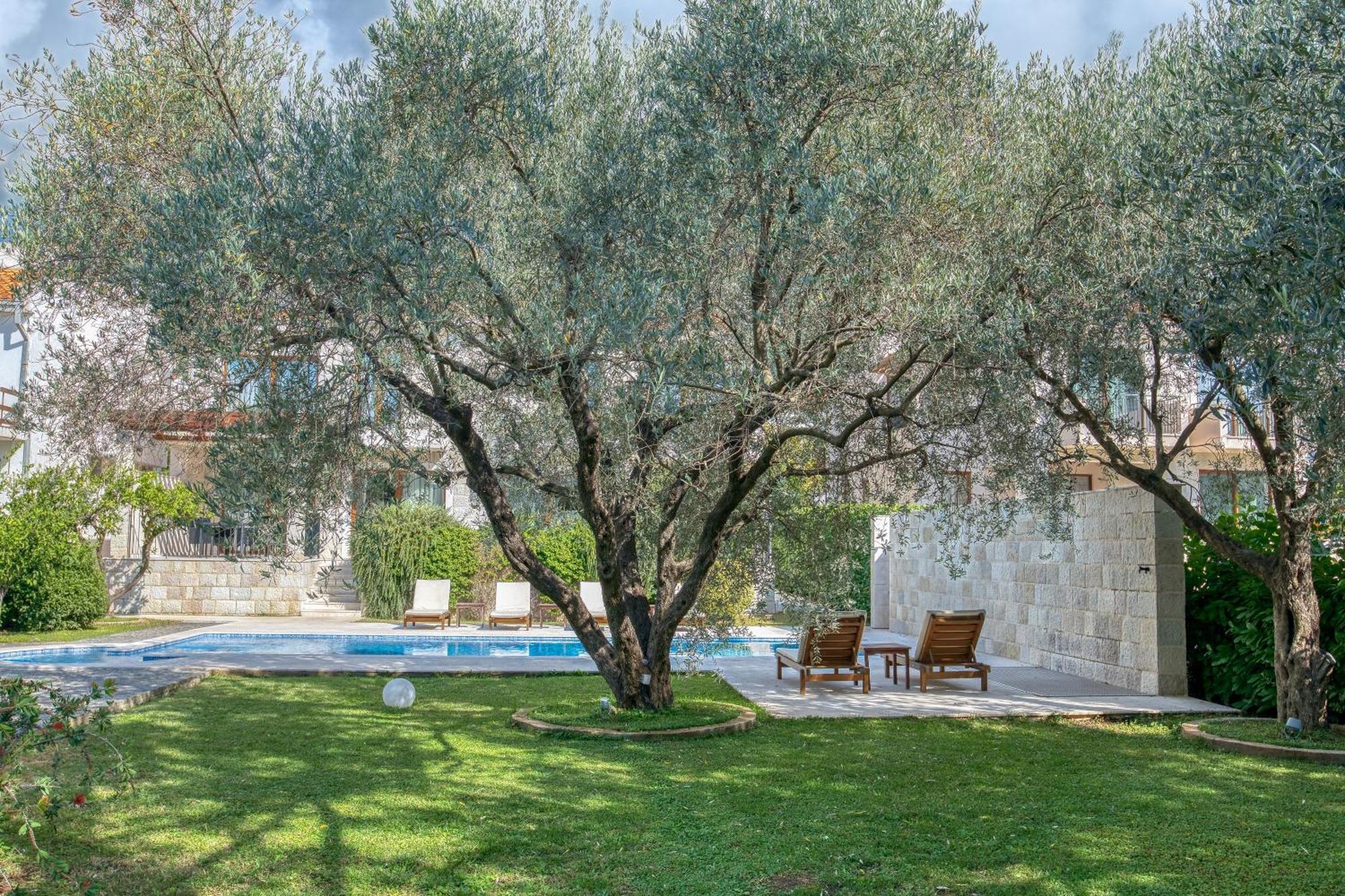 Villa Zen Port Petrovac المظهر الخارجي الصورة